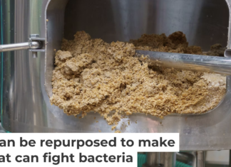 Some compounds in waste produced in the brewing process could be repurposed for antibacterial drugs. Iuri Gagarin/iStock via Getty Images